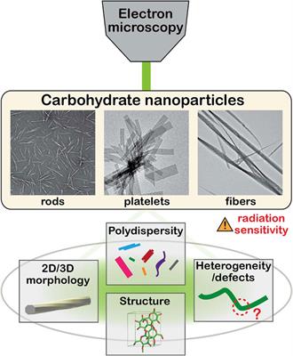 Recent Advances in Electron Microscopy of Carbohydrate Nanoparticles